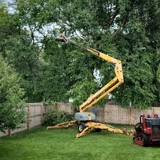 Best Landscape Design and Installation  in Ashburn, VA