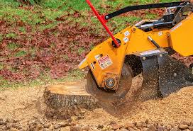 Best Aeration Services  in Ashburn, VA