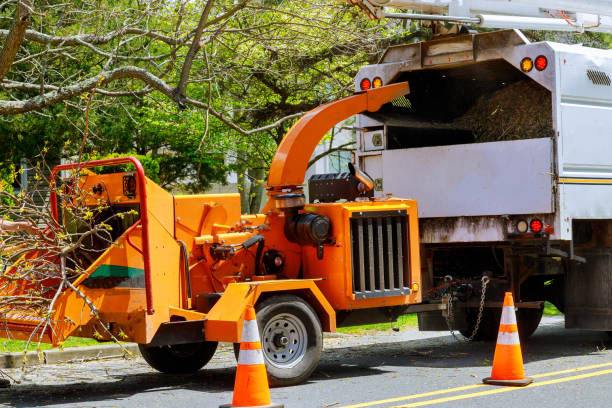 Best Lawn Grading and Leveling  in Ashburn, VA