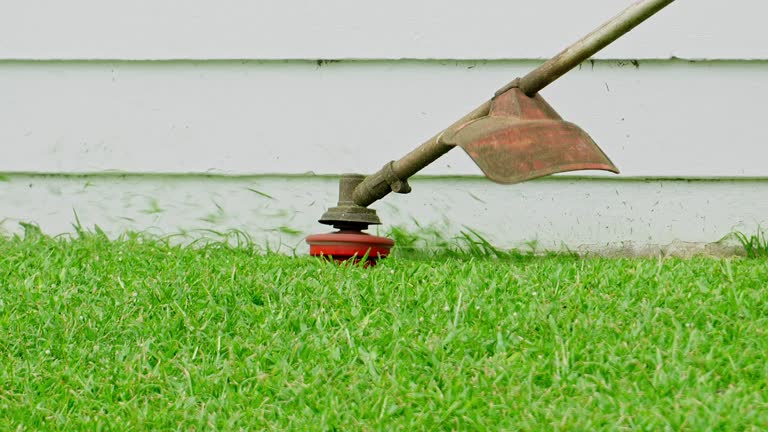 Best Leaf Removal  in Ashburn, VA