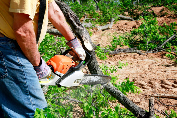 Lawn Irrigation Installation and Maintenance in Ashburn, VA